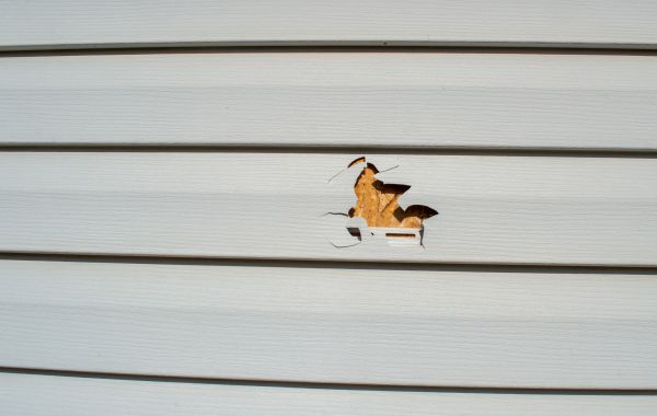 Siding Hole Repair in Stillwater